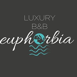 Luxury B&B Euphorbia